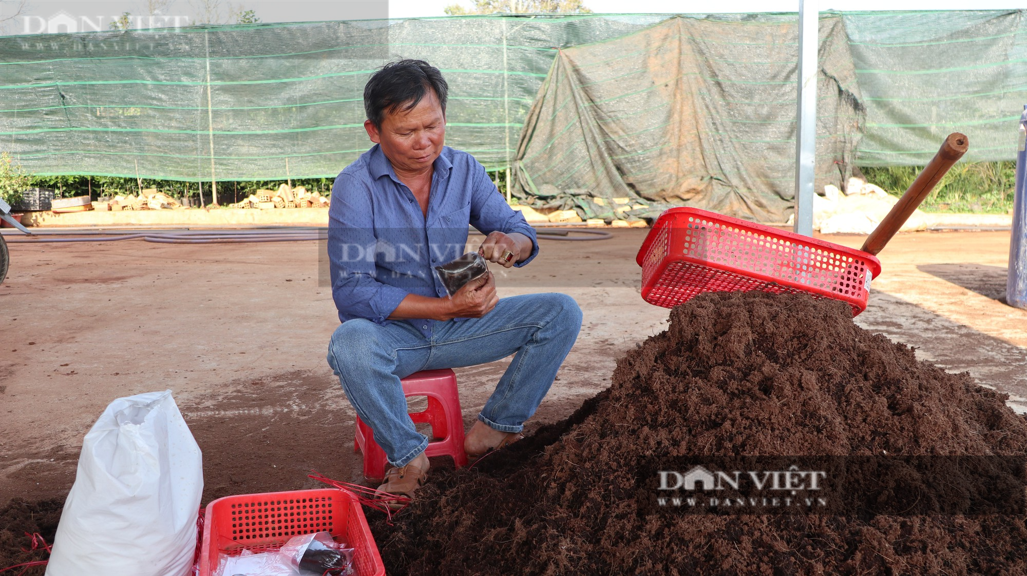 Nông dân sản xuất giỏi ở Lâm Đồng trồng lựu đỏ Ấn Độ chỉ bán cành mà thu tiền tỷ mỗi năm - Ảnh 8.