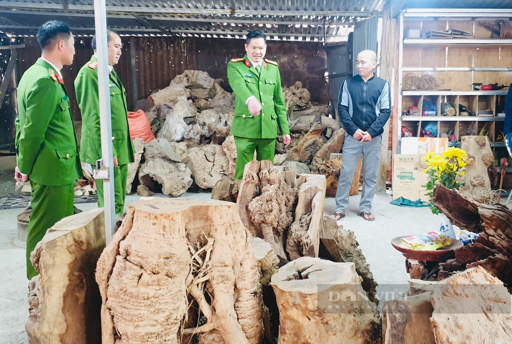 Thu giữ hàng trăm khúc gỗ quý tàng trữ trái phép ở Sìn Hồ (Lai Châu) - Ảnh 5.