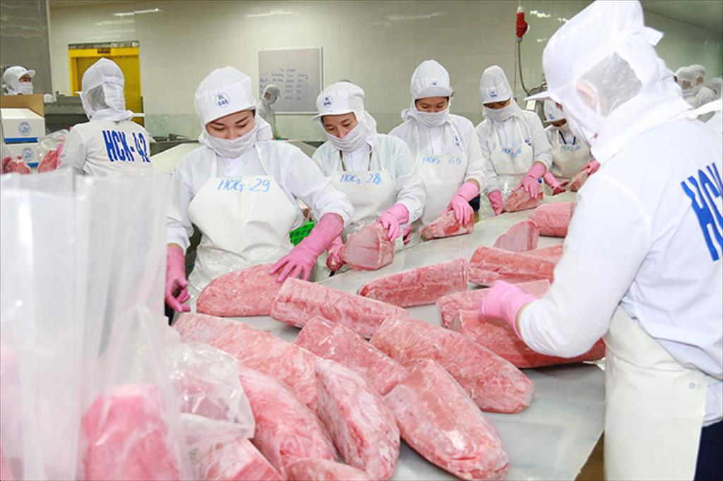 Hàn Quốc đột nhiên tăng mua một loài cá của Việt Nam, sức mua tăng đến 457% - Ảnh 1.