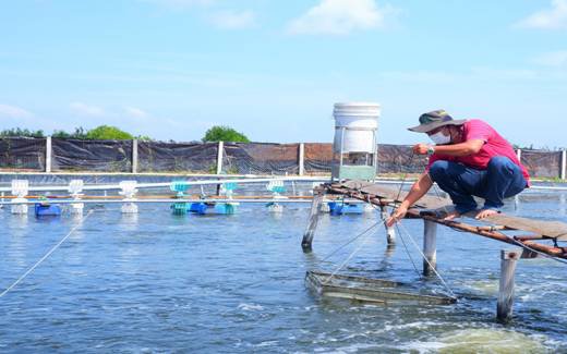 CLB Nông dân tỷ phú ở Thạnh Phú của Bến Tre tạo việc làm cho hàng trăm lao động với thu nhập 80-100 triệu/người/năm