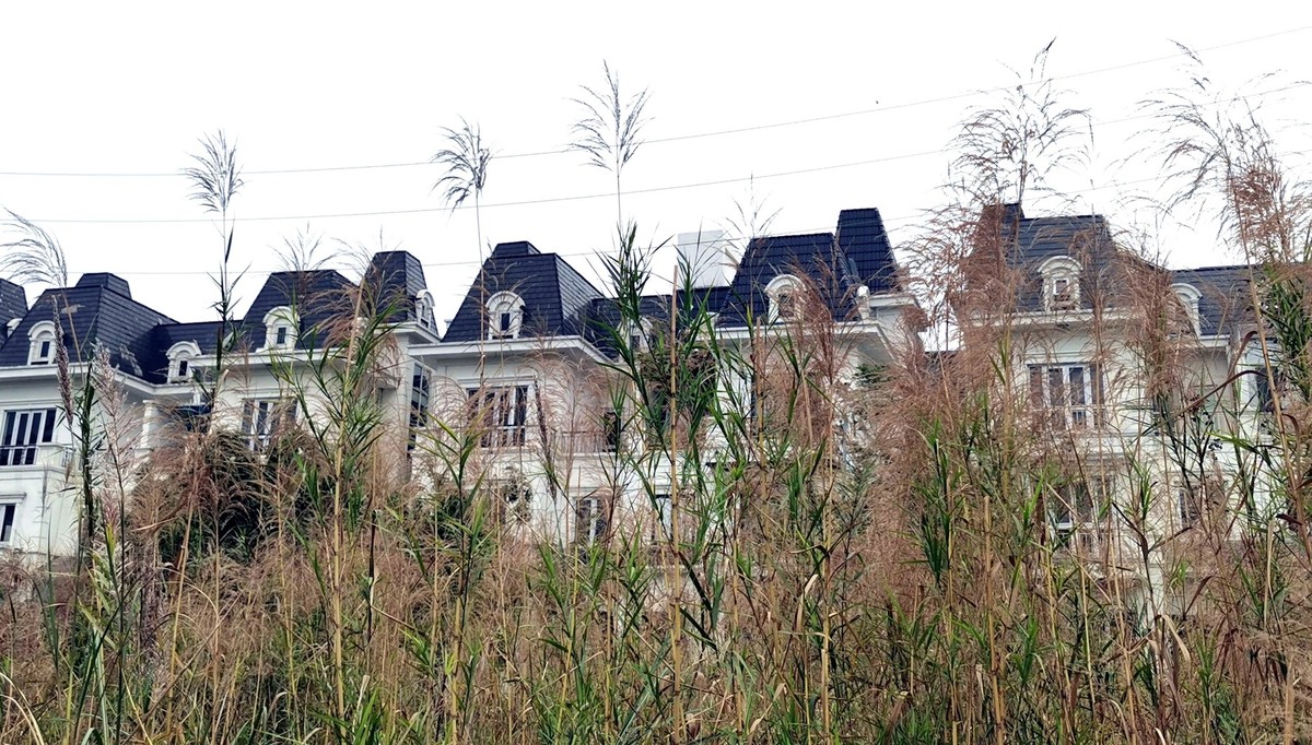 Khu đô thị có hàng trăm biệt thự 'triệu đô' bỏ hoang ở Hà Nội - Ảnh 26.