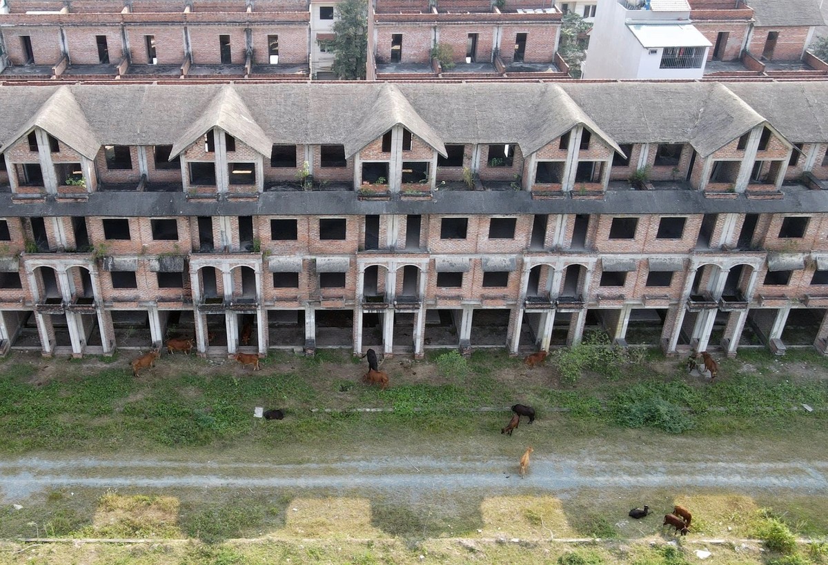 Khu đô thị có hàng trăm biệt thự 'triệu đô' bỏ hoang ở Hà Nội - Ảnh 30.