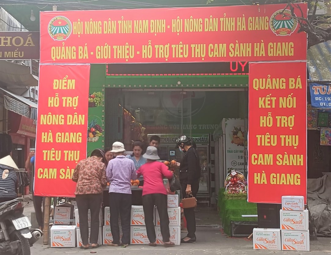 Hội Nông dân Nam Định hỗ trợ tiêu thụ 15 tấn cam sành cho nông dân tỉnh Hà Giang - Ảnh 2.