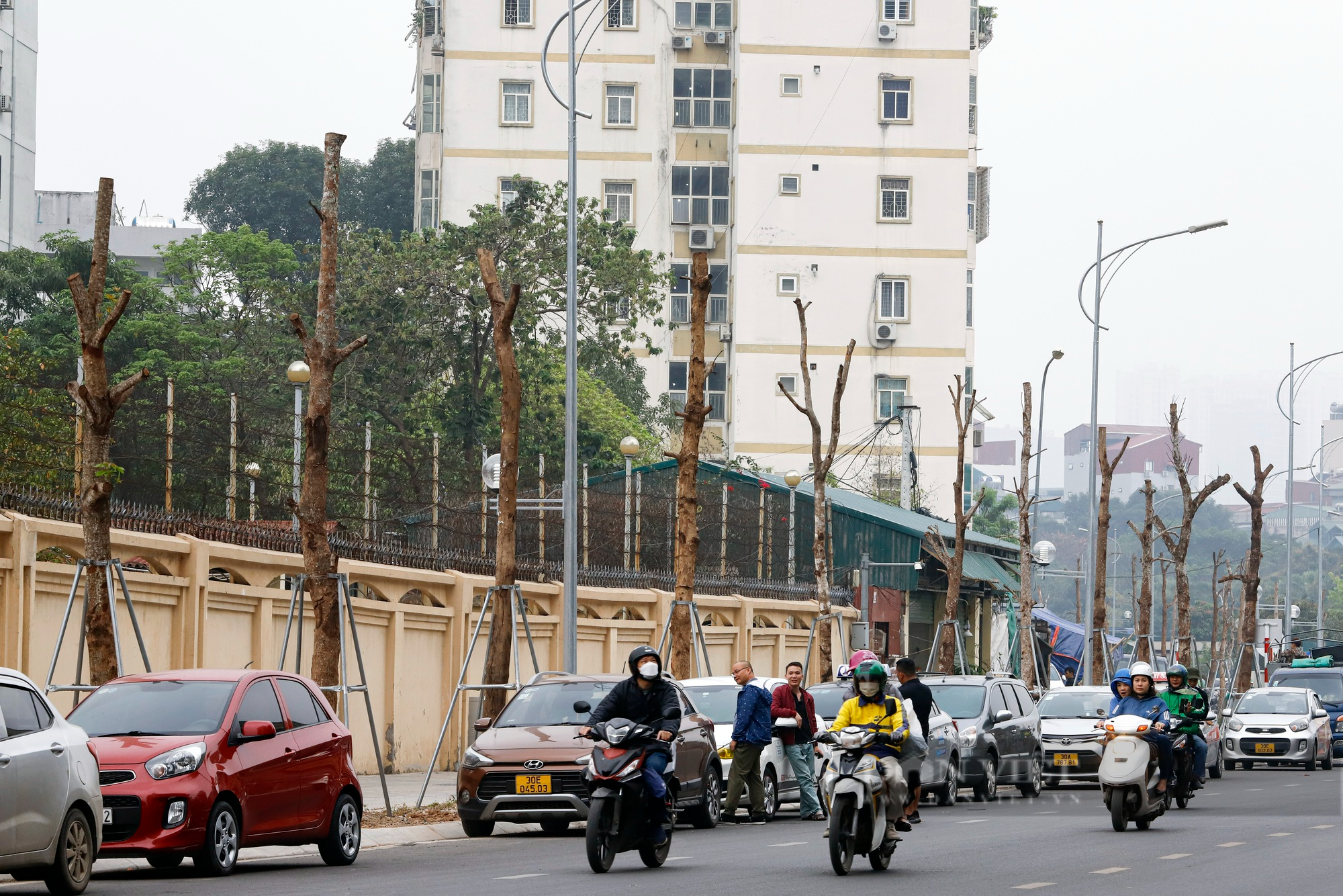 Hàng loạt cây xanh có dấu hiệu chết khô trên tuyến đường trăm tỷ mới mở tại Hà Nội - Ảnh 1.