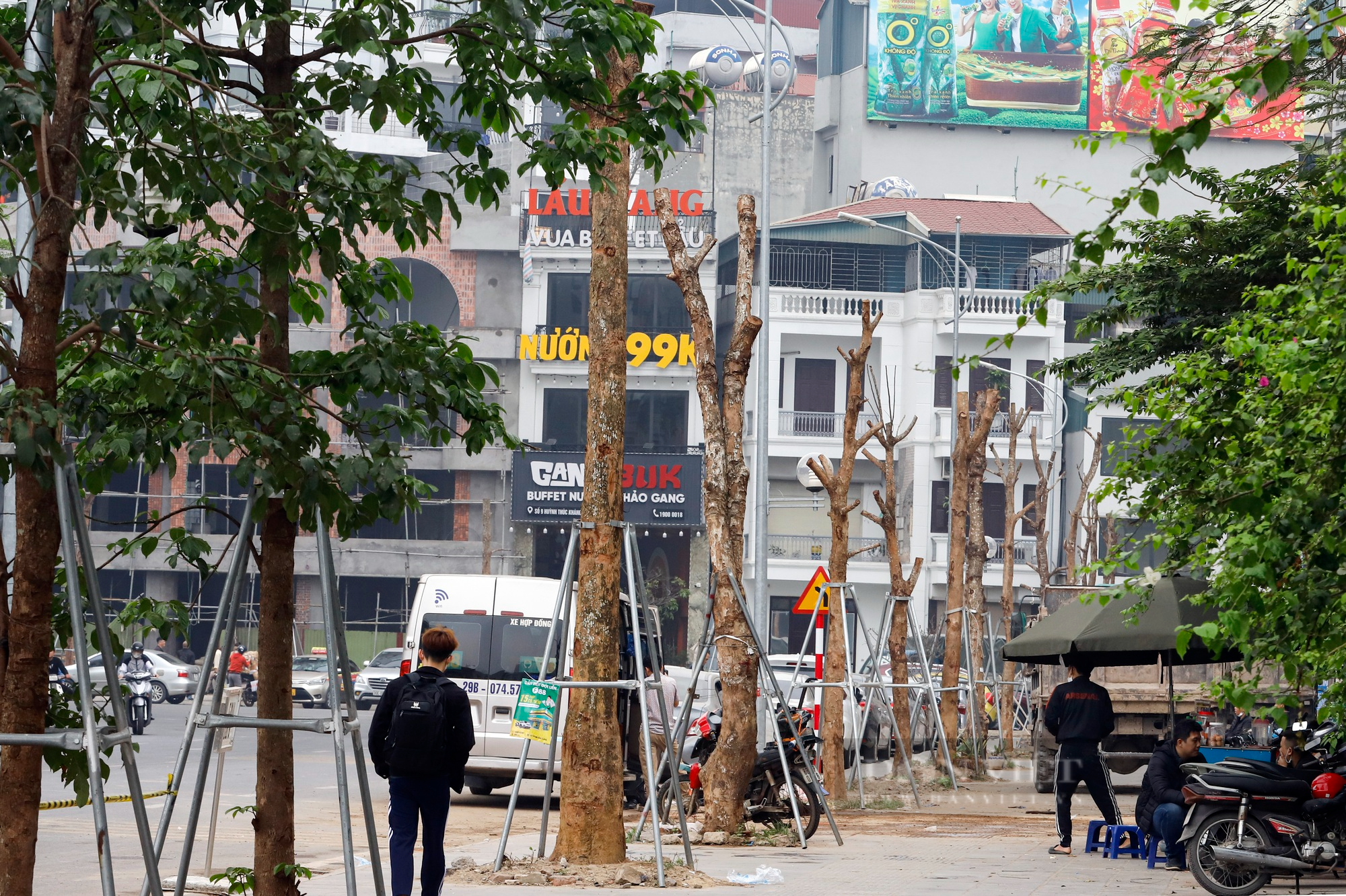 Hàng loạt cây xanh có dấu hiệu chết khô trên tuyến đường trăm tỷ mới mở tại Hà Nội - Ảnh 6.