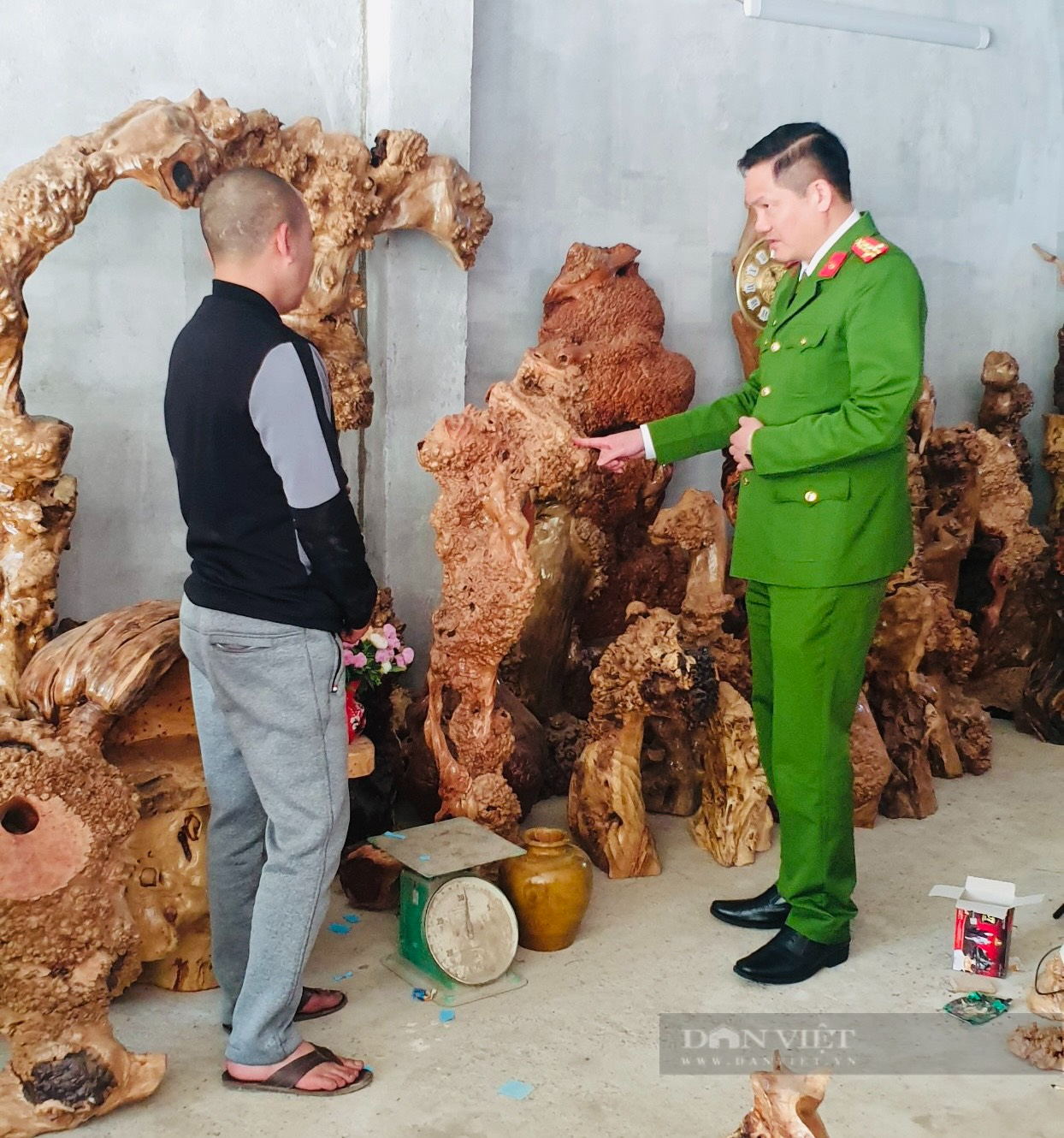 Bắt tạm giam một chủ xưởng gỗ vi phạm qui định về khai thác, bảo vệ rừng và lâm sản ở Sìn Hồ (Lai Châu) - Ảnh 2.