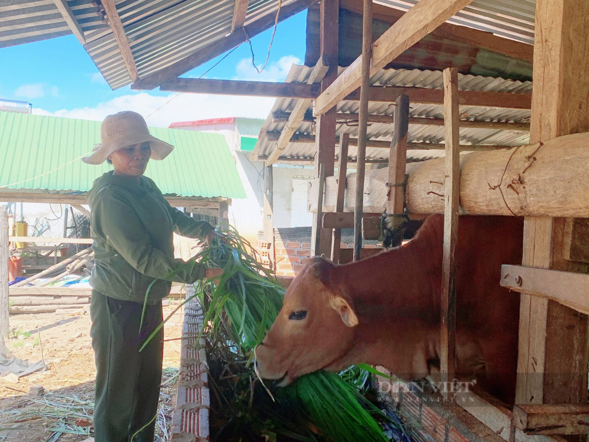 Điểm tựa &quot;tiếp sức&quot; hàng nghìn hộ nghèo ở huyện vùng sâu Krông Bông vươn lên - Ảnh 1.