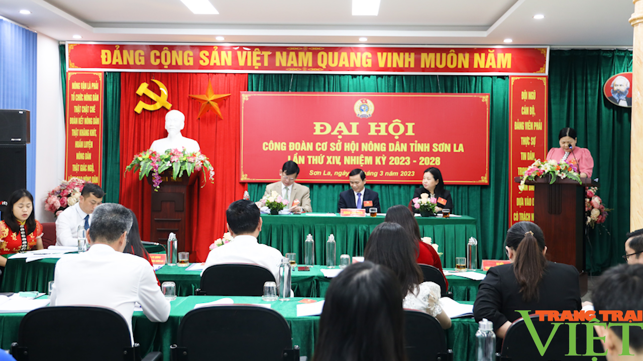 Công đoàn cơ sở Hội Nông dân tỉnh Sơn La tổ chức thành công đại hội - Ảnh 2.