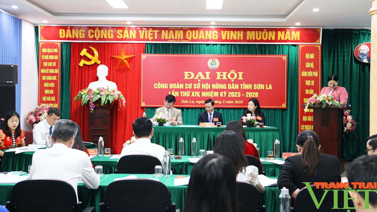 Công đoàn cơ sở Hội Nông dân tỉnh Sơn La tổ chức thành công đại hội - Ảnh 2. Công đoàn cơ sở Hội Nông dân tỉnh Sơn La tổ chức thành công đại hội - Ảnh 2.