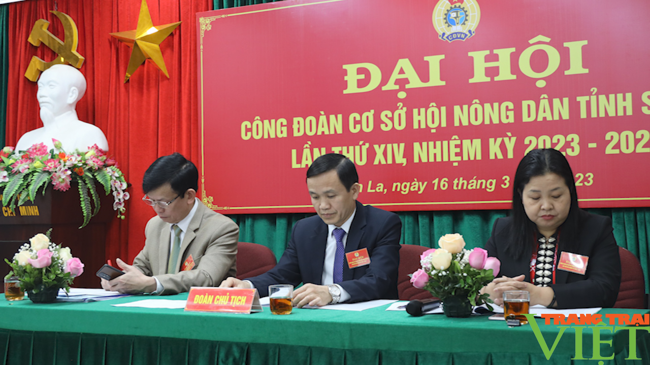 Công đoàn cơ sở Hội Nông dân tỉnh Sơn La tổ chức thành công đại hội - Ảnh 10.