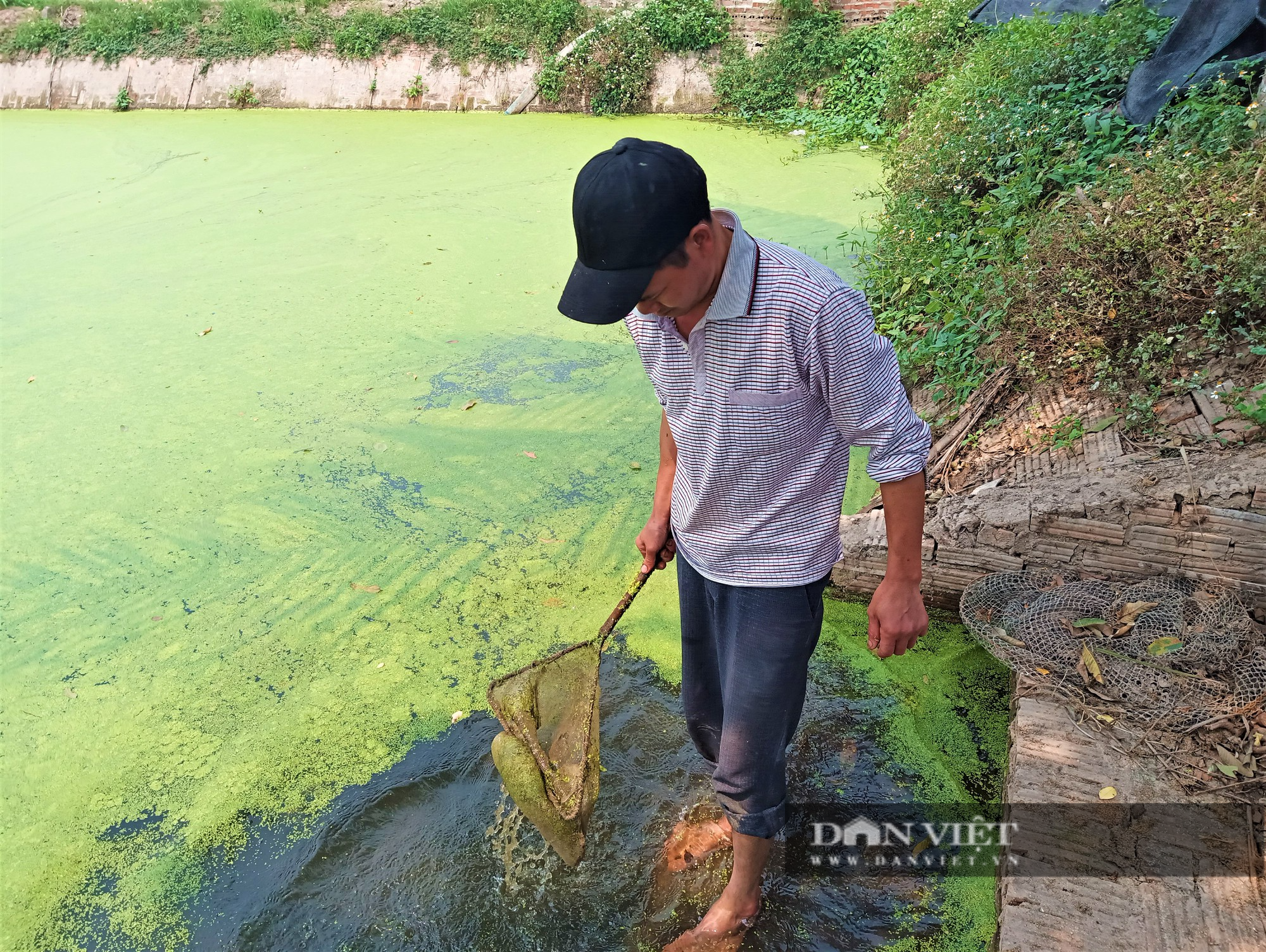 Bỏ nuôi cá, anh nông dân ở Hải Dương chọn nuôi con ít vốn, chăm nhàn, thu lãi cao, vợ chồng phấn khởi - Ảnh 4.