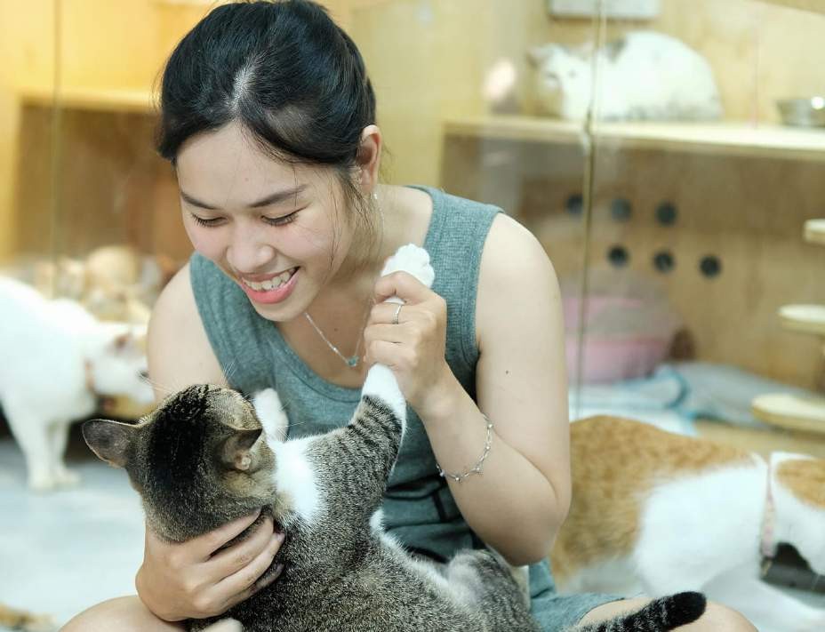 Cô gái Lâm Đồng dùng tiền cưới lập trạm cứu hộ cho những chú mèo hoang - Ảnh 1.