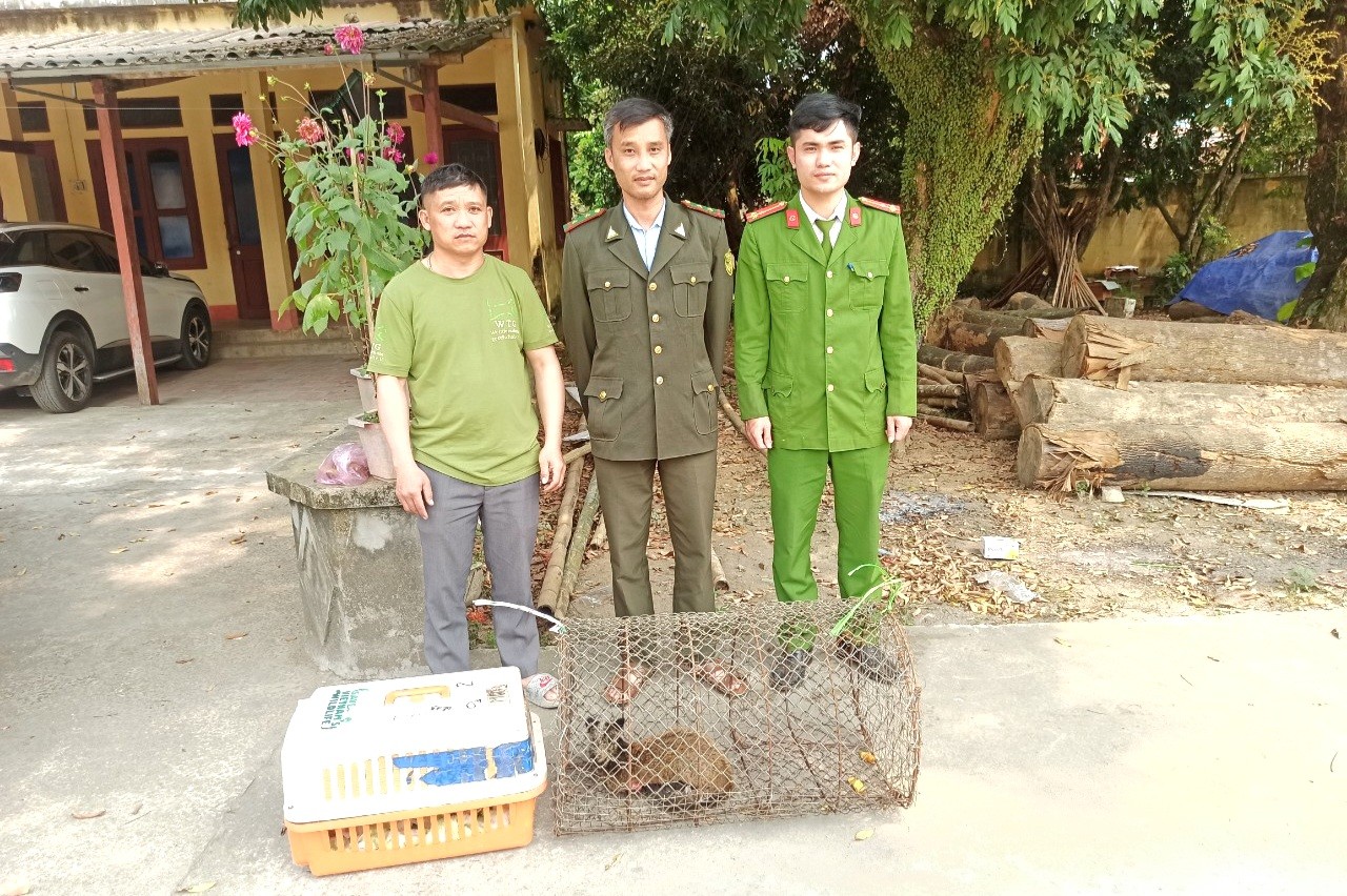 Vườn quốc gia Cúc Phương tiếp nhận và cứu hộ nhiều động vật hoang dã quý hiếm - Ảnh 2.