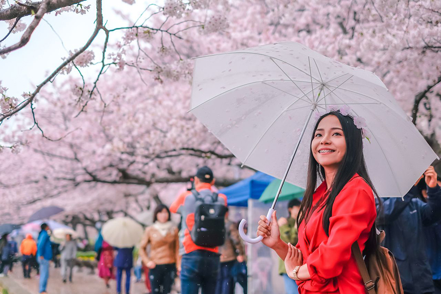 Hàn Quốc với “bí quyết” gia tăng du khách và hôn nhân quốc tế - Ảnh 3.