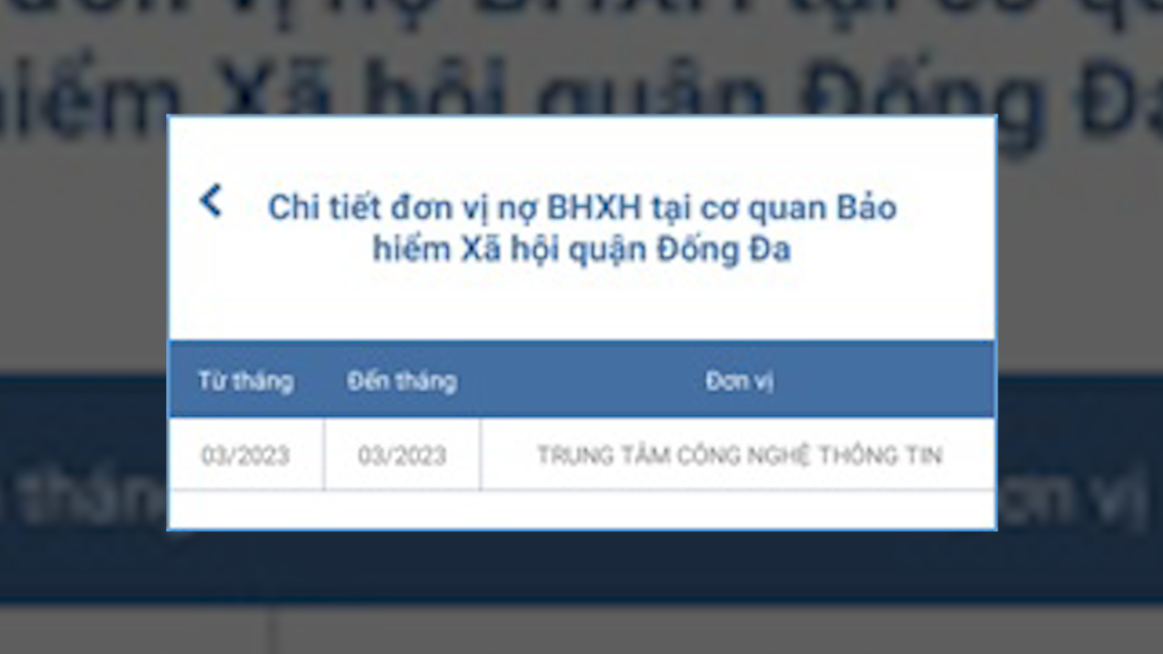 BHXH Việt Nam bổ sung tính năng hiển thị thời gian chưa đóng BHXH, BHTN trên ứng dụng &quot;VssID - Bảo hiểm xã hội số&quot; - Ảnh 3.