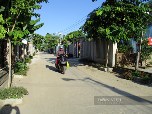 Quảng Nam: Nhiều giải thưởng hấp dẫn tại cuộc thi &quot;Vườn - tường - đường đẹp&quot; năm 2023 - Ảnh 1.