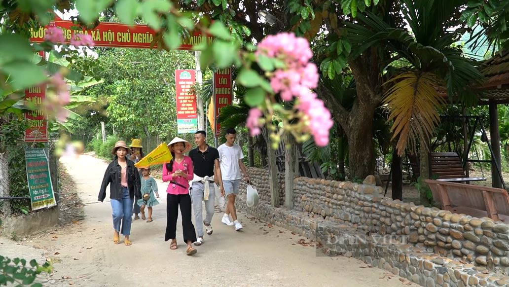 Quảng Nam: Nhiều giải thưởng hấp dẫn tại cuộc thi &quot;Vườn - tường - đường đẹp&quot; năm 2023 - Ảnh 2.