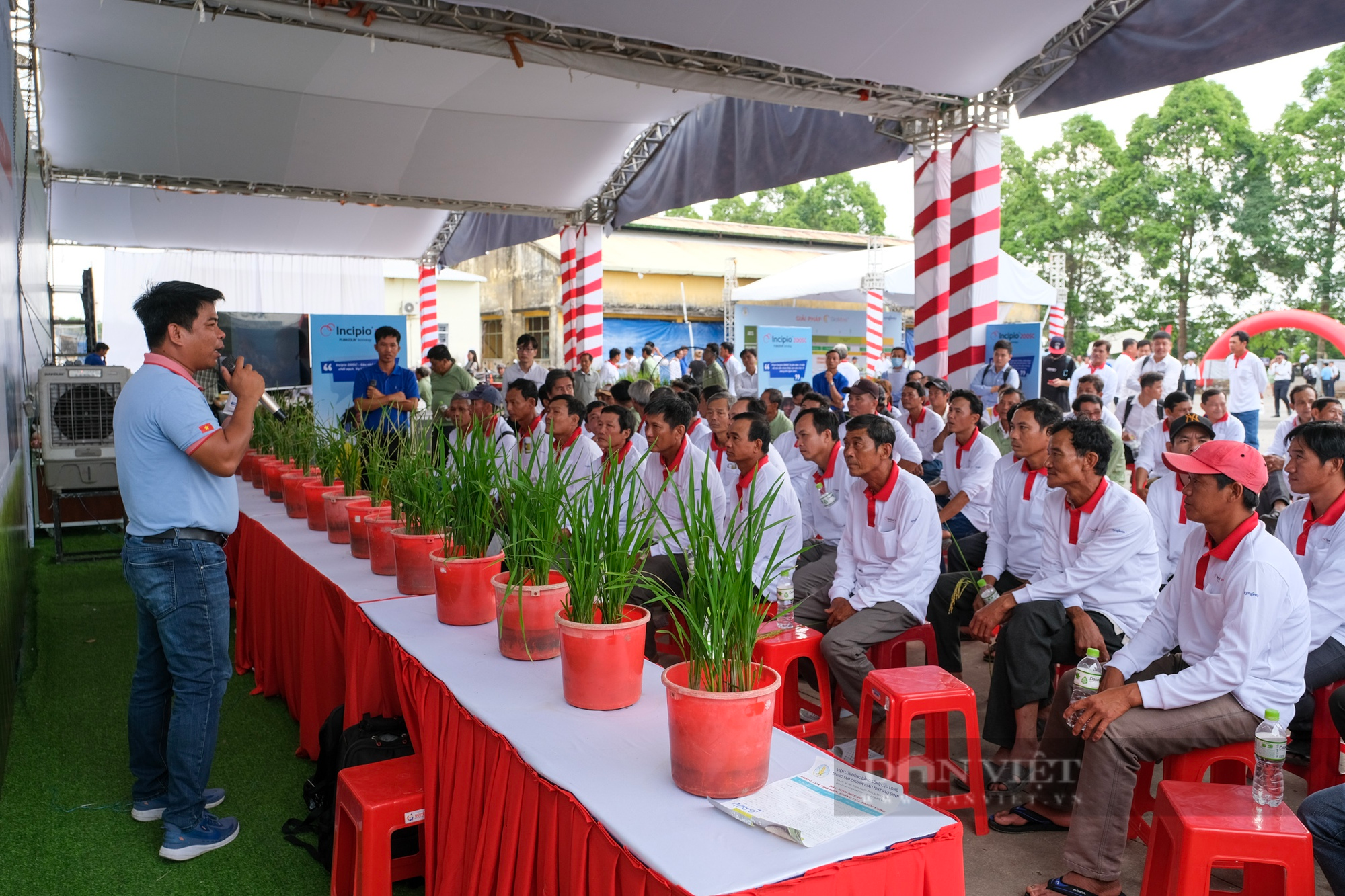 Syngenta Việt Nam chính thức ra mắt công nghệ mới phòng trừ sâu kháng thuốc, thân thiện với môi trường - Ảnh 6.