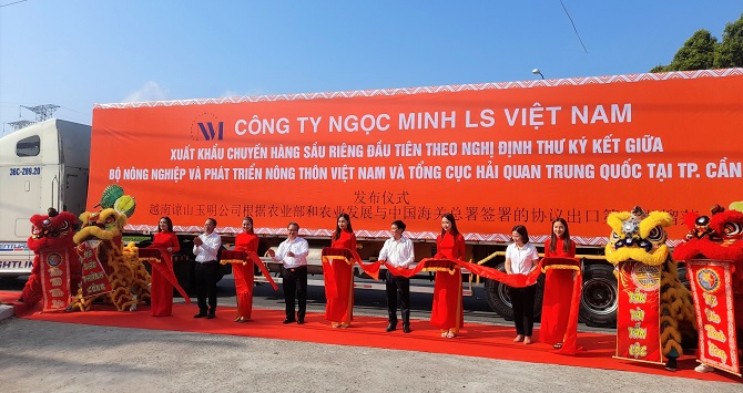 Chân dung doanh nghiệp xuất khẩu 18 tấn sầu riêng chính ngạch đầu tiên sang Trung Quốc - Ảnh 1. Chân dung doanh nghiệp xuất khẩu 18 tấn sầu riêng chính ngạch đầu tiên sang Trung Quốc - Ảnh 1.