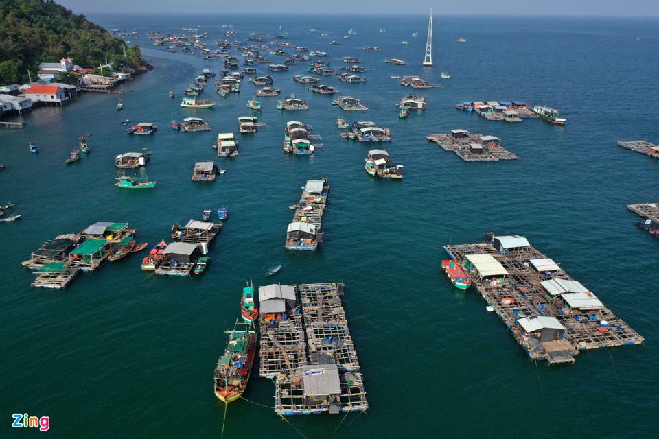 Hòn đảo có cả nghìn bè cá trên biển Kiên Giang - Ảnh 2.