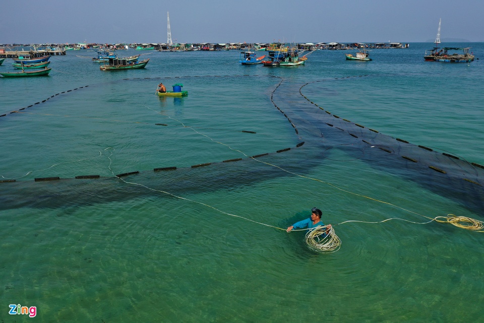Hòn đảo có cả nghìn bè cá trên biển Kiên Giang - Ảnh 3.
