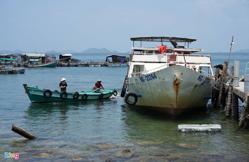 Hòn đảo có cả nghìn bè cá trên biển Kiên Giang - Ảnh 4.