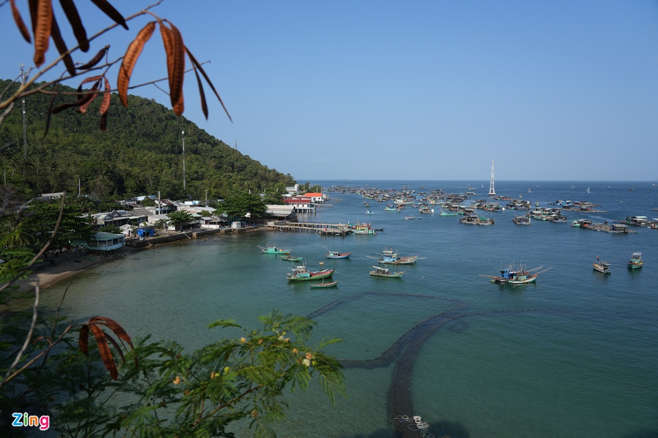 Hòn đảo có cả nghìn bè cá trên biển Kiên Giang - Ảnh 9.