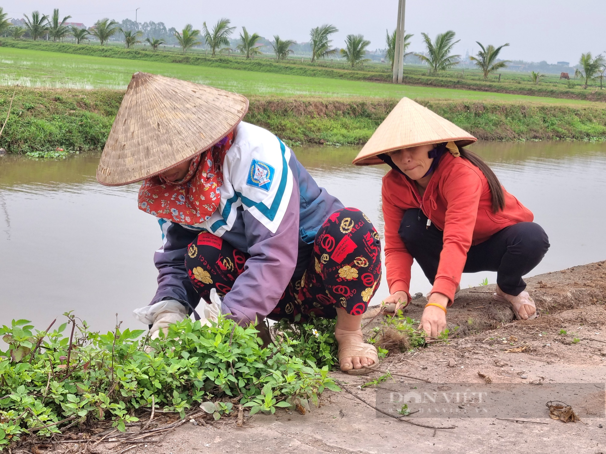 Ninh Bình: Từ phong trào “thứ bảy xanh, chủ nhật sạch” huyện Kim Sơn đang trở thành miền quê đáng sống - Ảnh 5.