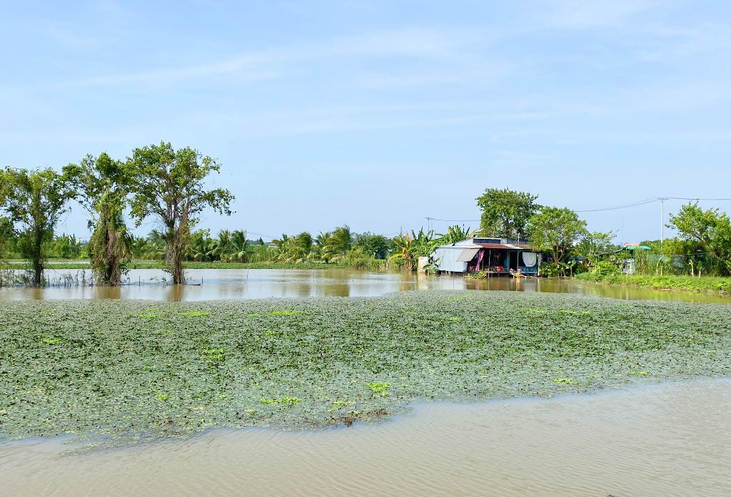 Dòng sông nào nổi tiếng ở An Giang, mùa nước nổi bỗng biến cánh đồng, vô số cá, tôm, con ốc lác to bự? - Ảnh 1.