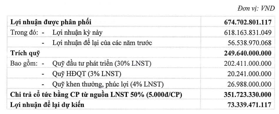 HĐQT Vận tải Xếp dỡ Hải An (HAH) đặt kế hoạch lợi nhuận giảm hơn 1 nửa, dự chia cổ tức 15% - Ảnh 2.