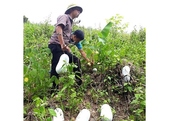 Điện Biên: Sản phẩm OCOP 3 sao có nguy cơ mất chuẩn - Ảnh 2.