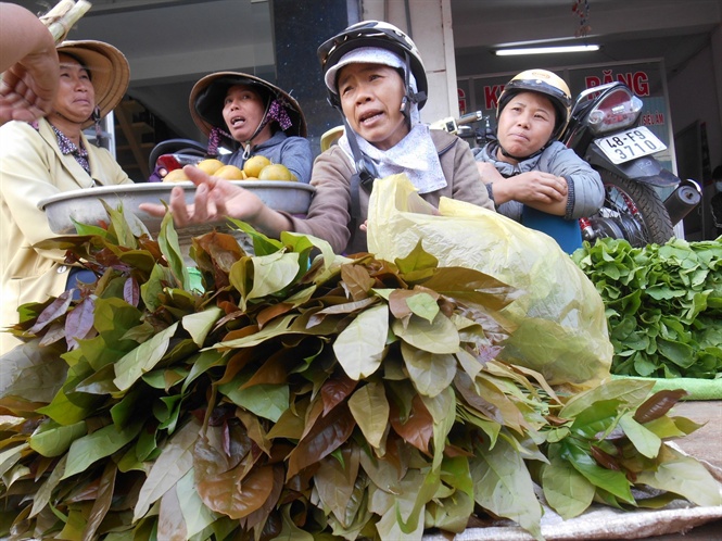 Loại rau dân dã được mệnh danh là &quot;bột ngọt&quot; của núi rừng, được dân sành thi nhau lùng mua giá 120.000 đồng/kg - Ảnh 1.