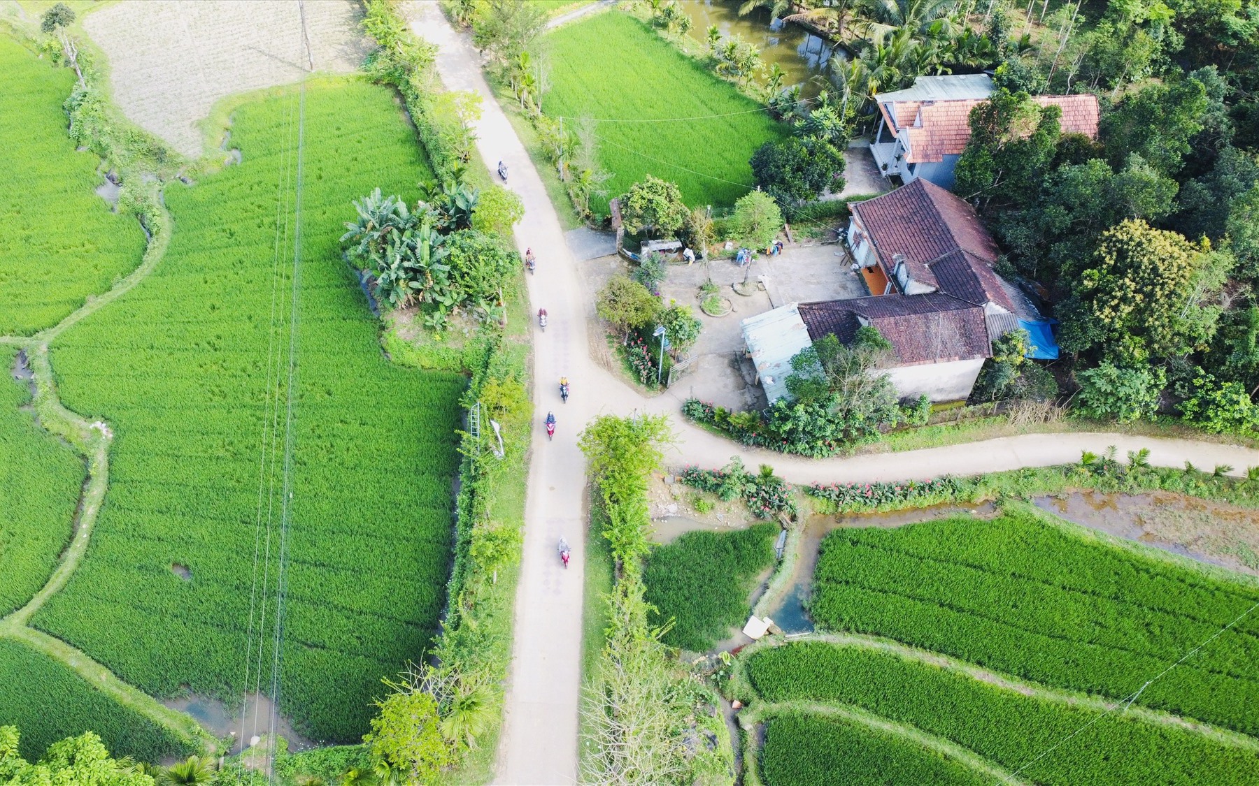 Đây là một làng cổ đẹp ở Quảng Nam còn nhiều nhà cổ, chưa bao giờ khóa cổng, thoải mái vô chụp ảnh, quay phim