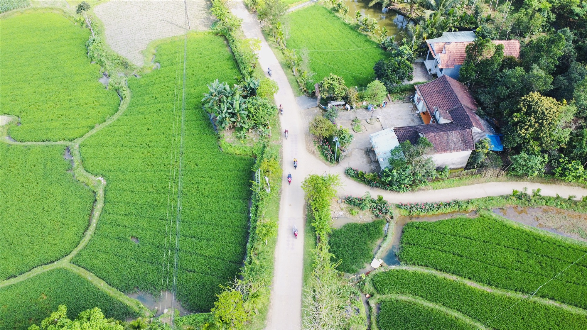 Đây là một làng cổ đẹp ở Quảng Nam còn nhiều nhà cổ, chưa bao giờ khóa cổng, thoải mái vô chụp ảnh, quay phim - Ảnh 2.