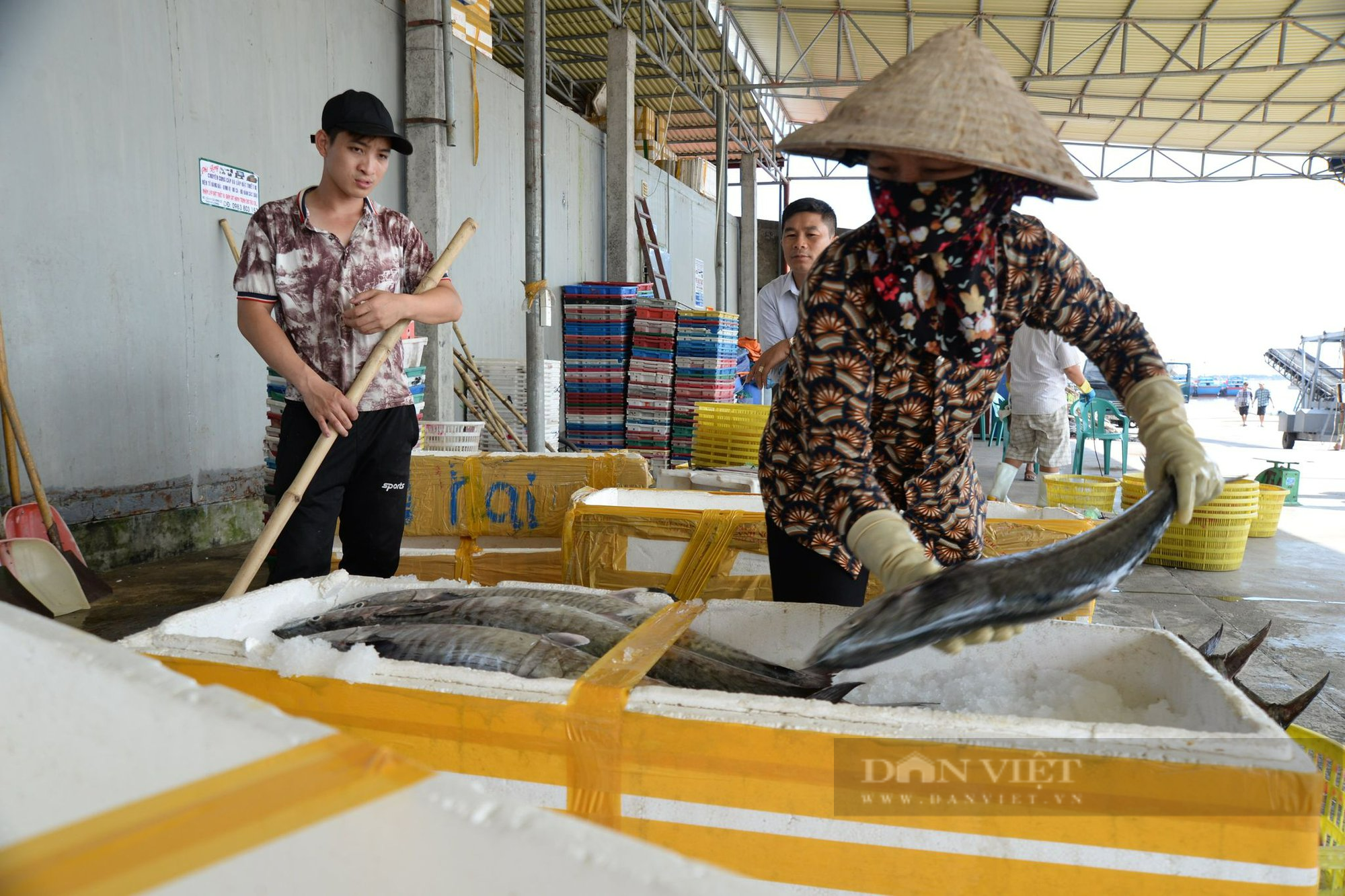 Nam Định quyết tâm tháo gỡ thẻ vàng IUU (bài 2): Xử phạt nhiều tàu cá vi phạm khai thác thủy sản  - Ảnh 4.
