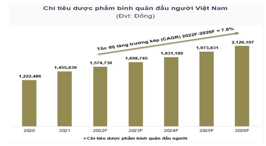 Chuỗi Long Châu, Pharmacity và An Khang có thể lên đến 7.300 cửa hàng trong năm 2025 - Ảnh 3.