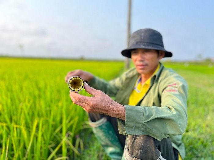 &quot;Cao thủ&quot; Quảng Bình tiết lộ, muốn đặt bẫy con đặc sản, phải canh giờ vàng rồi đợi đến khoảng 2 - 3 giờ sáng - Ảnh 6.