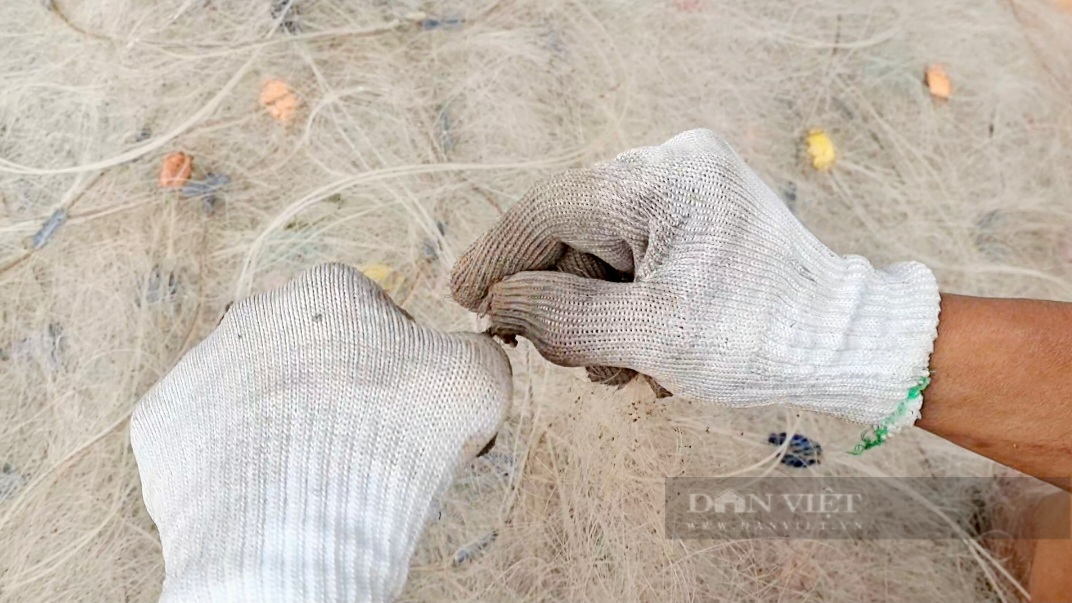 Ngư dân Sầm Sơn mỏi tay gỡ con cá, ốc, ghẹ…vướng lưới khi bè mảng cập bến - Ảnh 10.