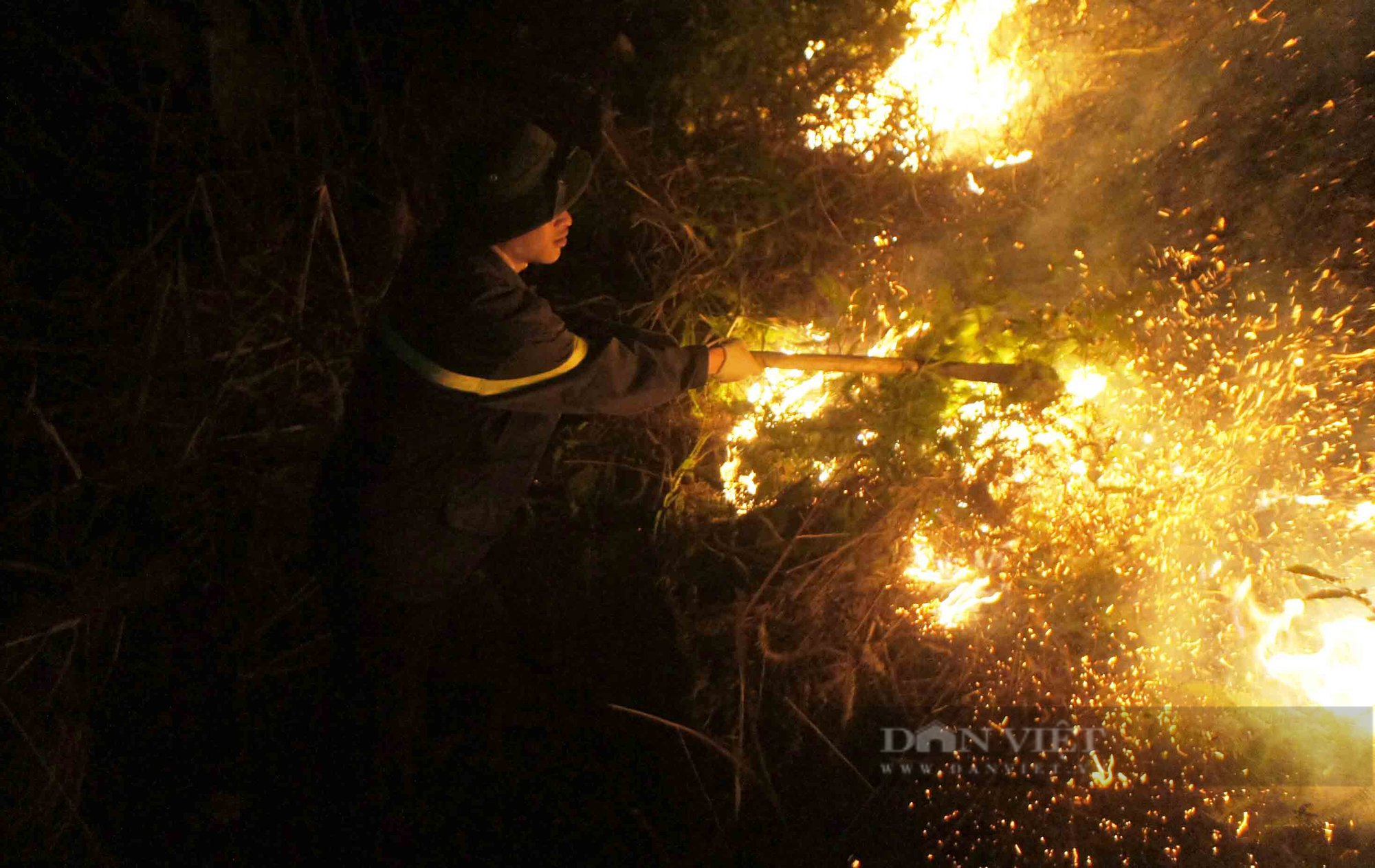 Cháy rừng thông tại thành phố Lạng Sơn  - Ảnh 1.