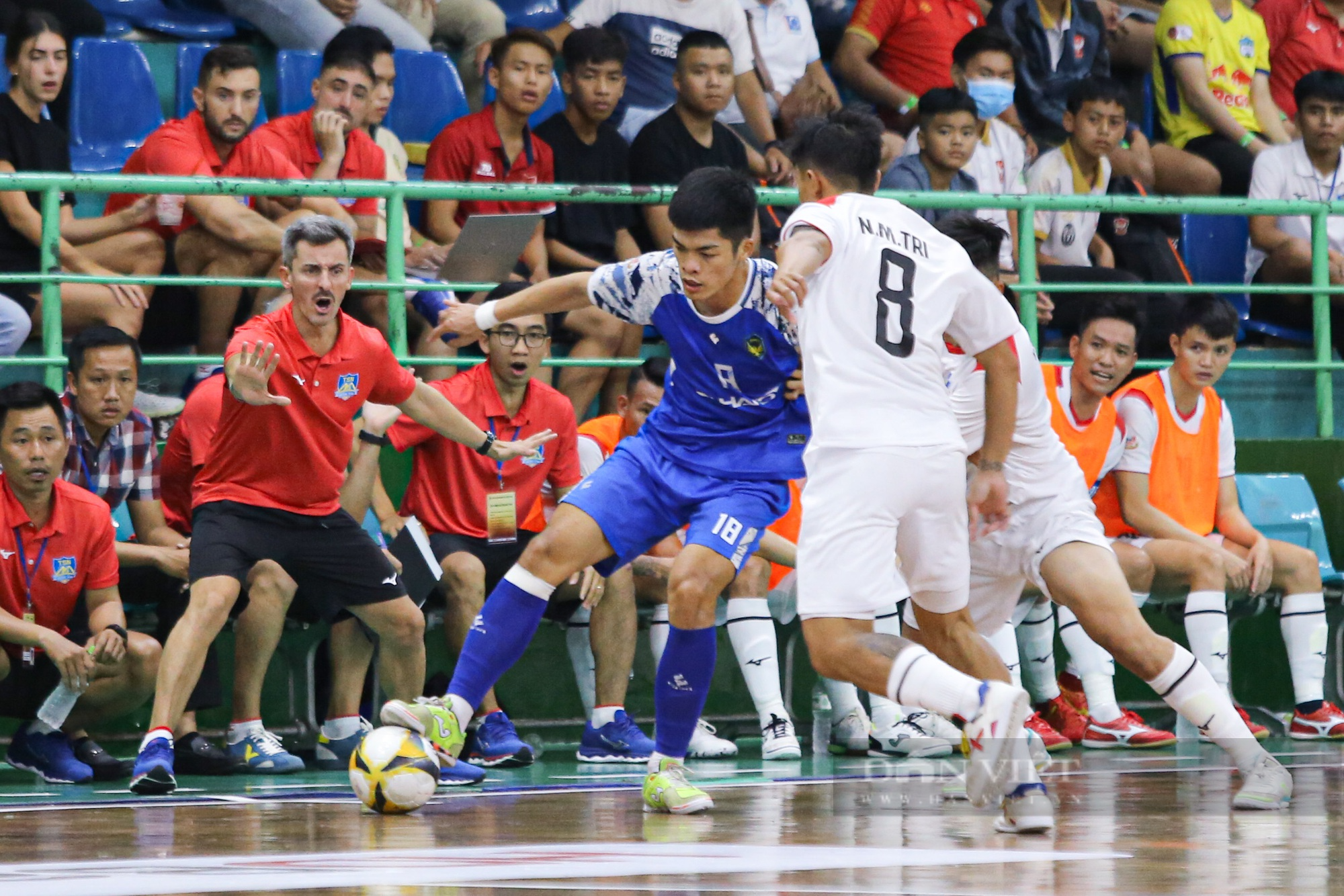 Trọng tài &quot;bẻ còi&quot;, Thái Sơn Nam cay đắng chia điểm trong trận &quot;siêu kinh điển&quot; làng futsal - Ảnh 2.