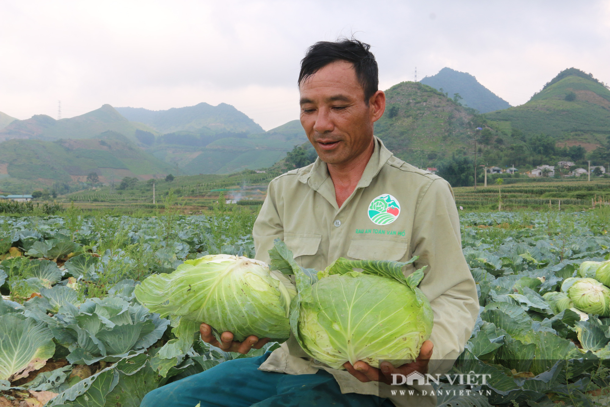 3 loại rau củ bình dân trồng không khó, giá &quot;rẻ ơi là rẻ&quot; lại tốt ngang nhân sâm - Ảnh 1.