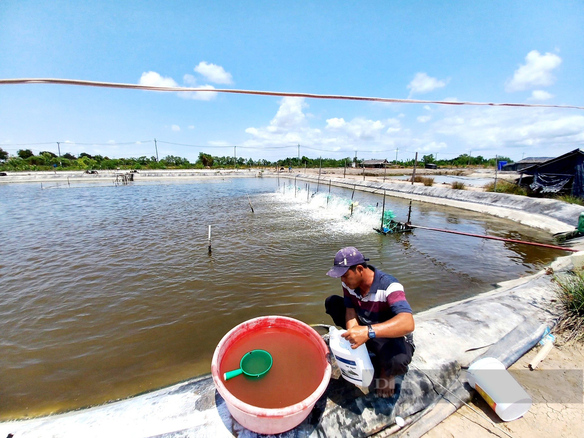 Nuôi cá đặc sản, thơm ngon nức tiếng, chưa ương giống được, anh nông dân duyên hải TP.HCM thu 7 tỷ mỗi vụ - Ảnh 1.