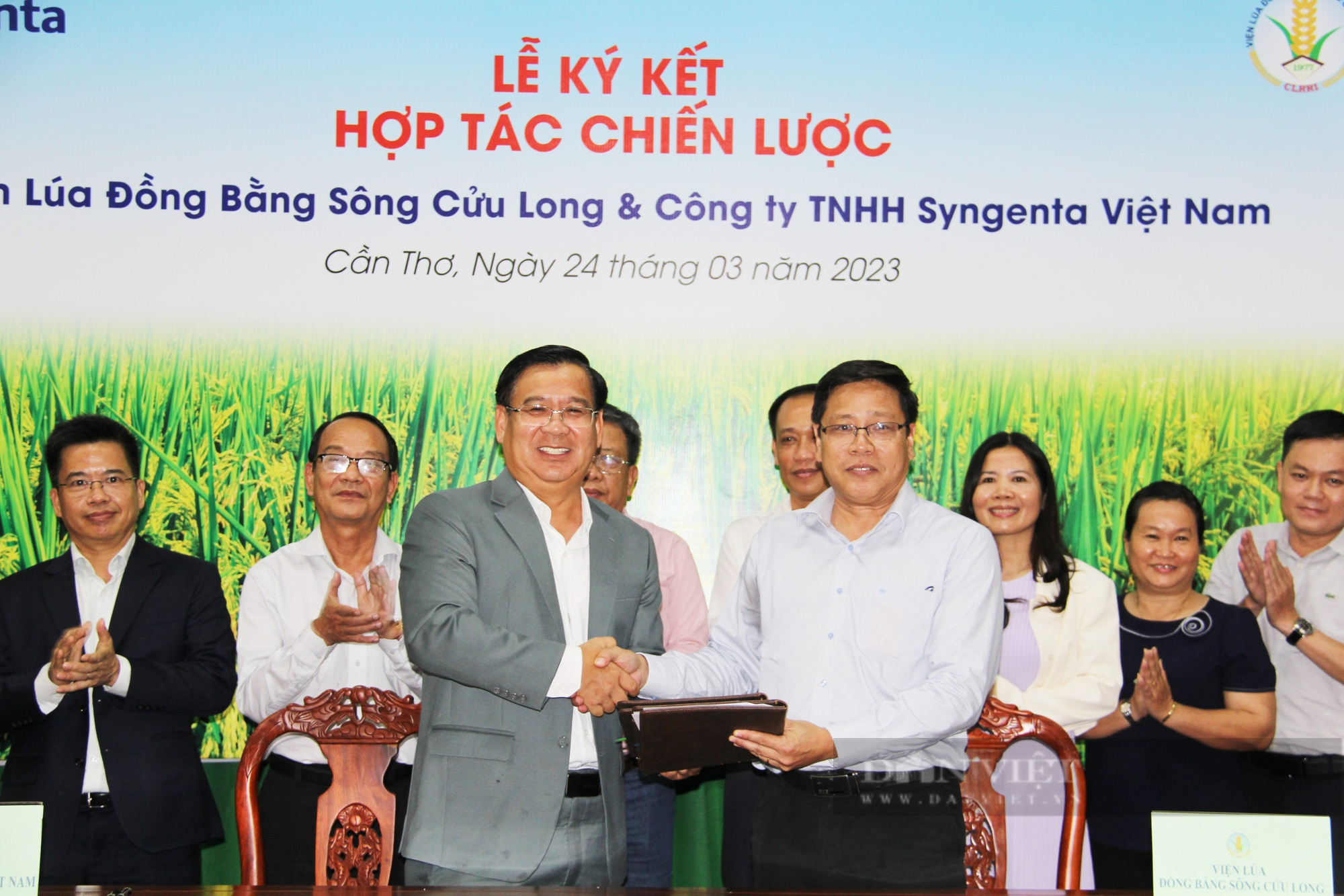 Viện Lúa ĐBSCL hợp tác với Công ty Syngenta Việt Nam nghiên cứu tìm ra giống lúa thuần có chất lượng tốt - Ảnh 1.