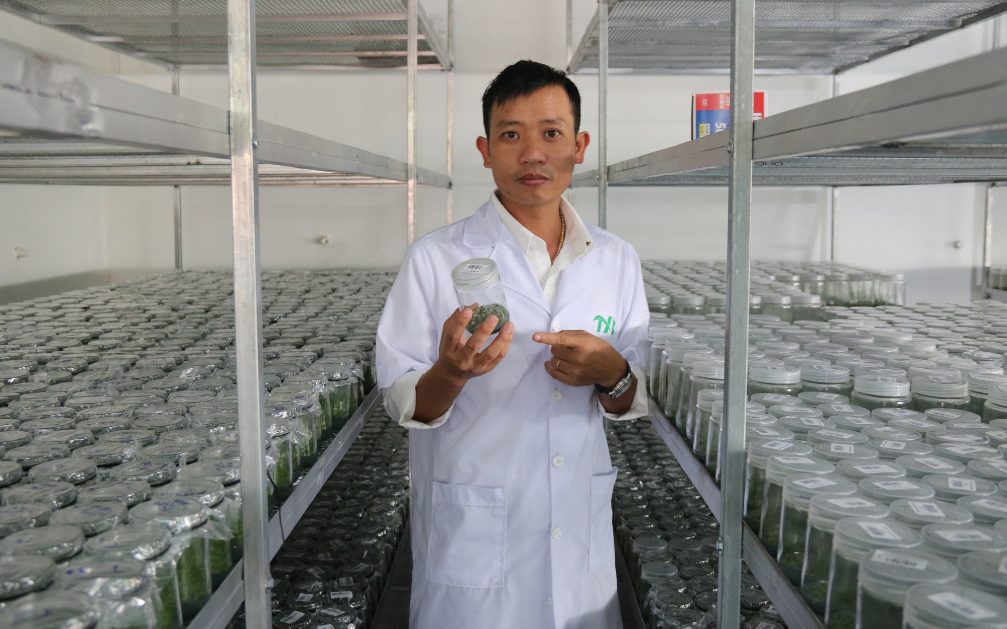 Khởi nghiệp với phòng nuôi cấy mô giống cây lâm nghiệp, anh nông dân Gia Lai thu 4 tỷ đồng