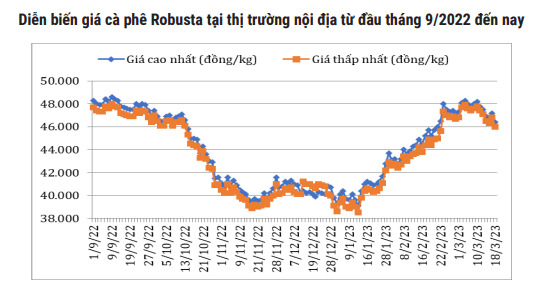 Giá cà phê phiên cuối tuần tăng vọt - Ảnh 4.