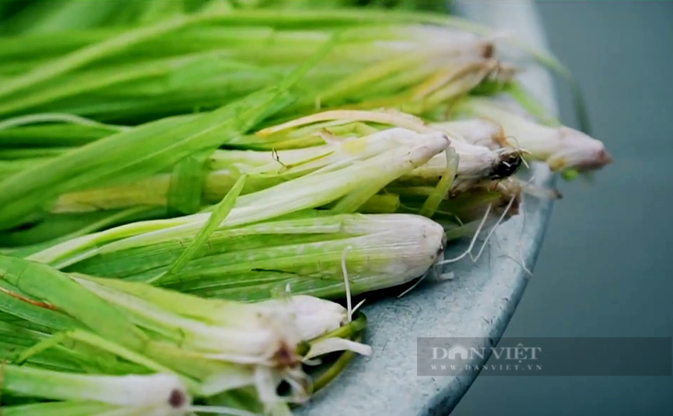 Tạo &quot;lũ giả&quot; trồng loại “cỏ” dại siêu sạch, anh nông dân vùng biên Long An có lợi nhuận gấp 6 lần trồng lúa - Ảnh 3.