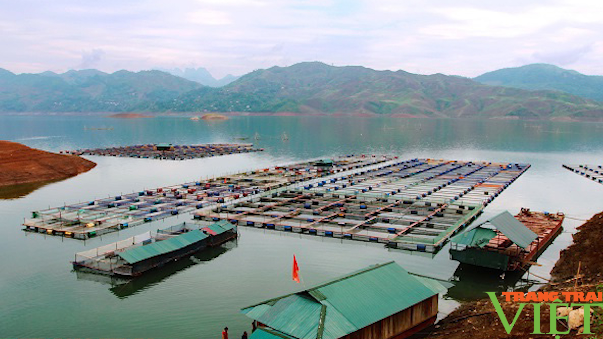 Sơn La: Phát triển thủy sản tập trung, bền vững - Ảnh 2.