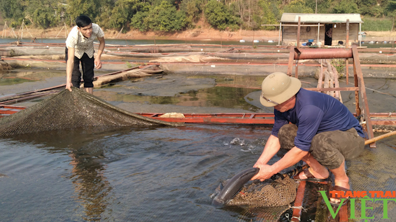 Sơn La: Phát triển thủy sản tập trung, bền vững - Ảnh 3.