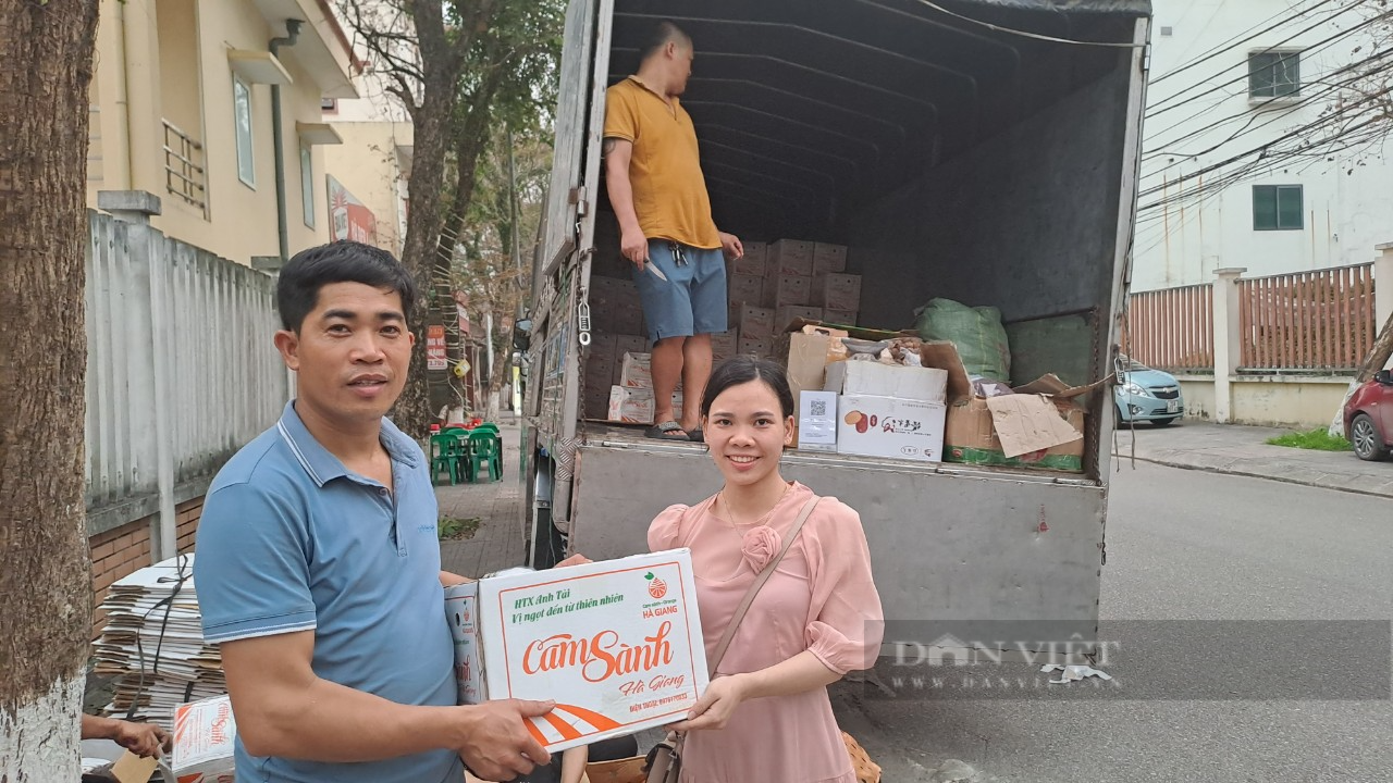 HND tỉnh Thái Nguyên mở gian hàng trưng bày, hỗ trợ nông dân Hà Giang tiêu thụ cam sành - Ảnh 2.