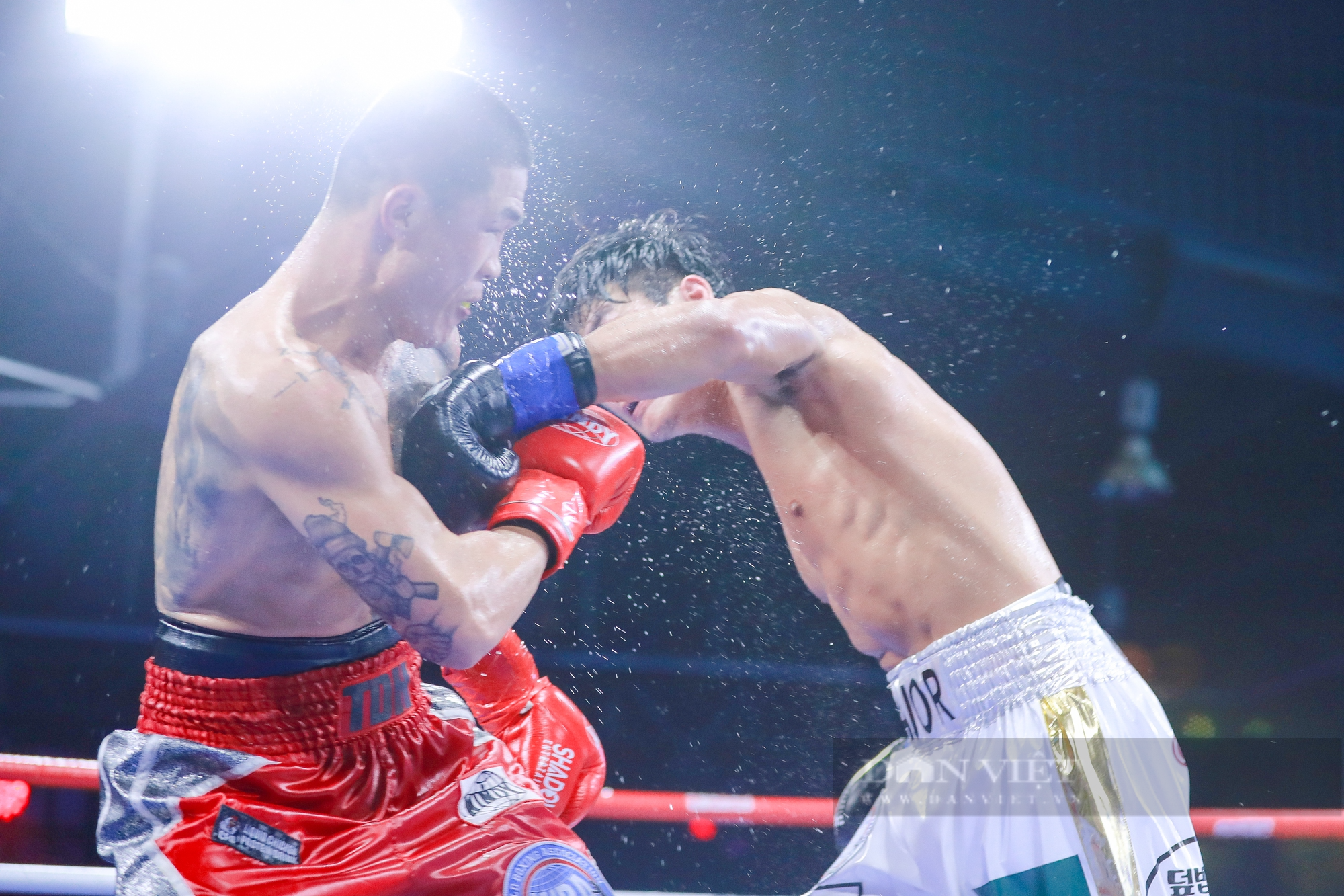 Thắng võ sĩ số 1 Hàn Quốc, Trương Đình Hoàng bảo vệ thành công đai WBA châu Á - Ảnh 4.